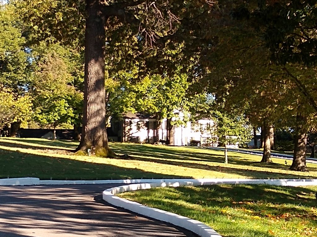 Driveway to home